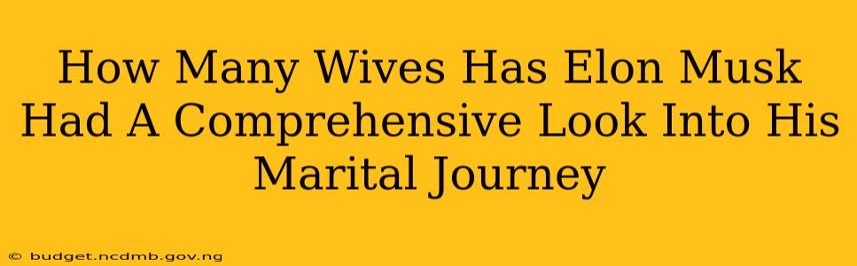 How Many Wives Has Elon Musk Had A Comprehensive Look Into His Marital Journey