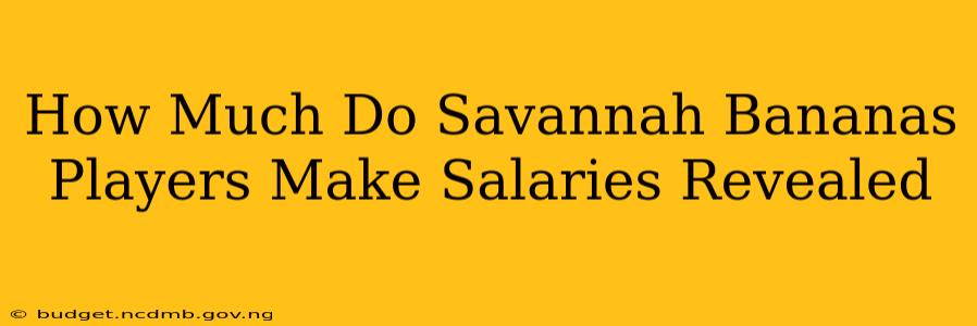 How Much Do Savannah Bananas Players Make Salaries Revealed
