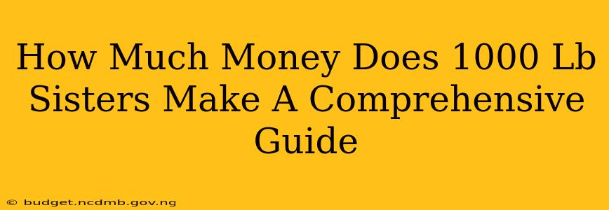 How Much Money Does 1000 Lb Sisters Make A Comprehensive Guide