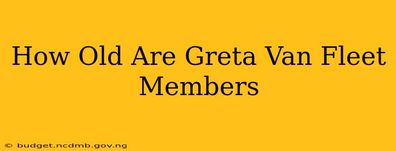 How Old Are Greta Van Fleet Members