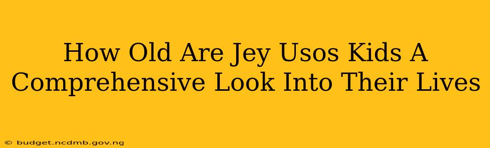 How Old Are Jey Usos Kids A Comprehensive Look Into Their Lives