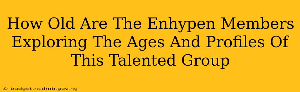 How Old Are The Enhypen Members Exploring The Ages And Profiles Of This Talented Group