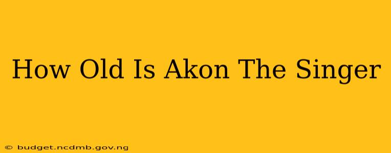 How Old Is Akon The Singer