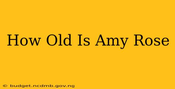 How Old Is Amy Rose