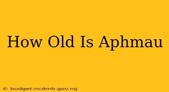 How Old Is Aphmau