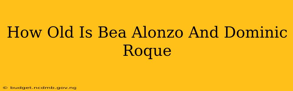 How Old Is Bea Alonzo And Dominic Roque