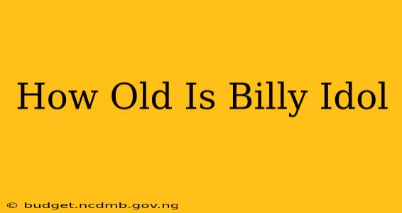 How Old Is Billy Idol
