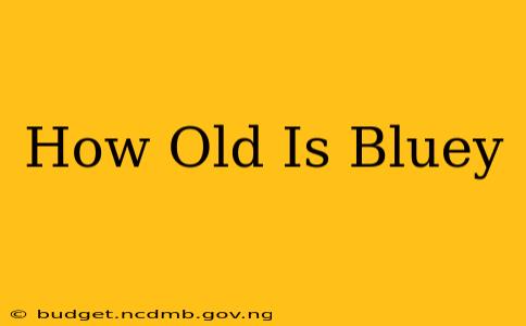 How Old Is Bluey
