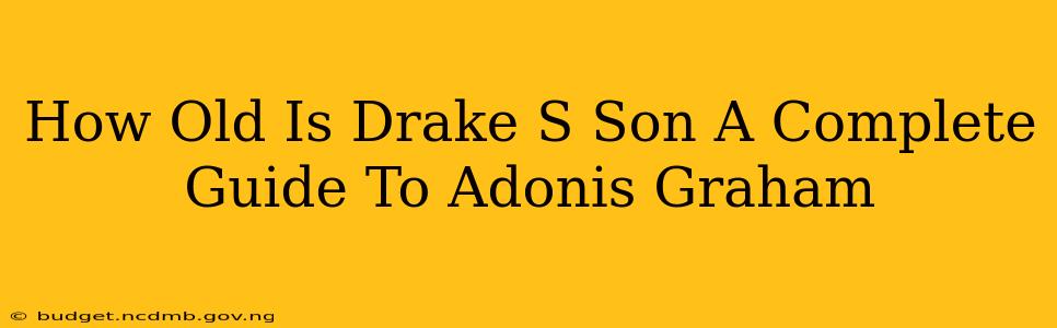 How Old Is Drake S Son A Complete Guide To Adonis Graham