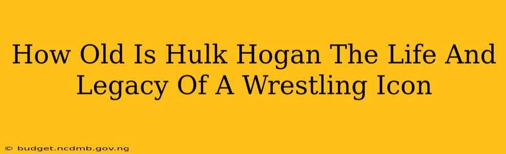 How Old Is Hulk Hogan The Life And Legacy Of A Wrestling Icon