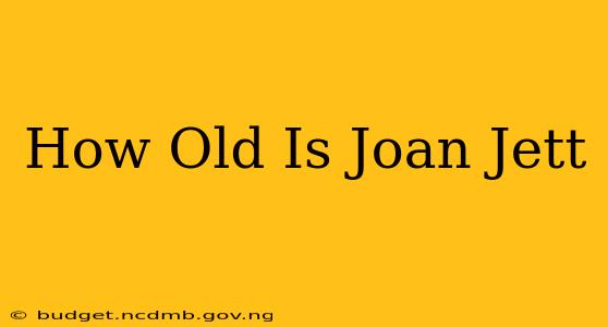 How Old Is Joan Jett