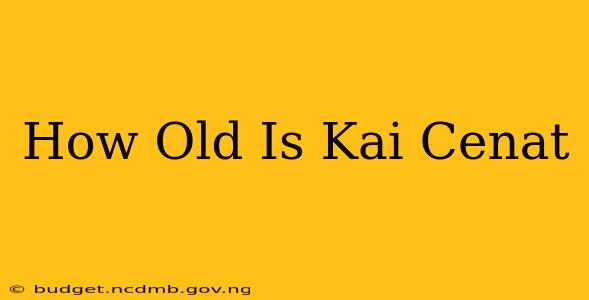 How Old Is Kai Cenat