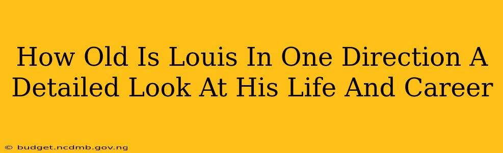 How Old Is Louis In One Direction A Detailed Look At His Life And Career