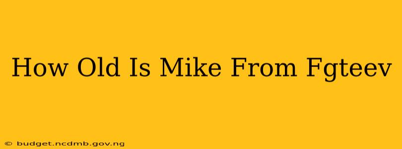 How Old Is Mike From Fgteev