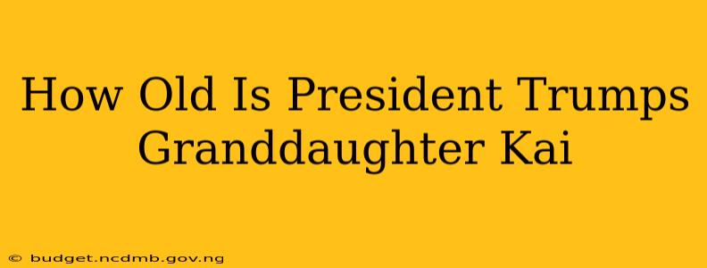 How Old Is President Trumps Granddaughter Kai