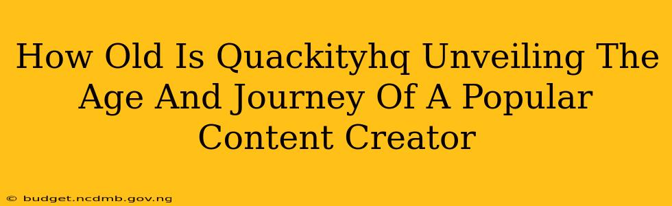 How Old Is Quackityhq Unveiling The Age And Journey Of A Popular Content Creator