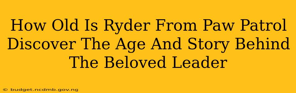 How Old Is Ryder From Paw Patrol Discover The Age And Story Behind The Beloved Leader