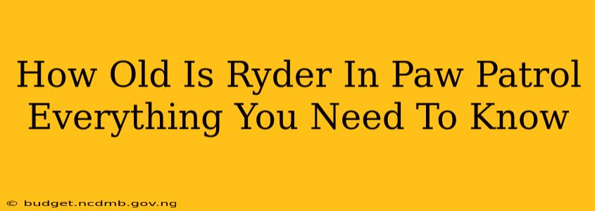 How Old Is Ryder In Paw Patrol Everything You Need To Know