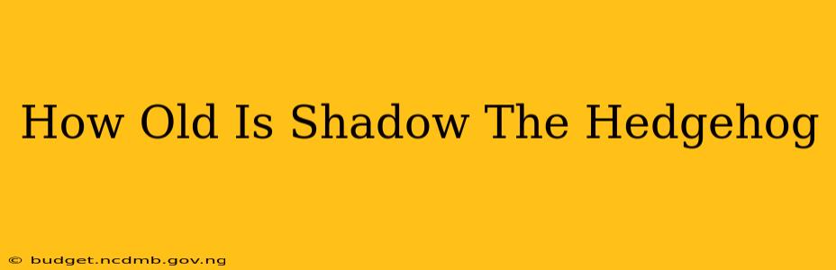 How Old Is Shadow The Hedgehog