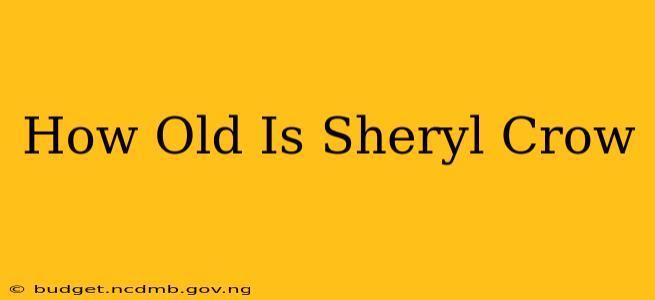 How Old Is Sheryl Crow