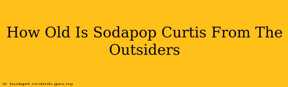 How Old Is Sodapop Curtis From The Outsiders
