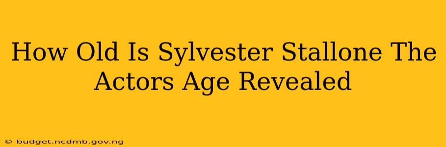 How Old Is Sylvester Stallone The Actors Age Revealed