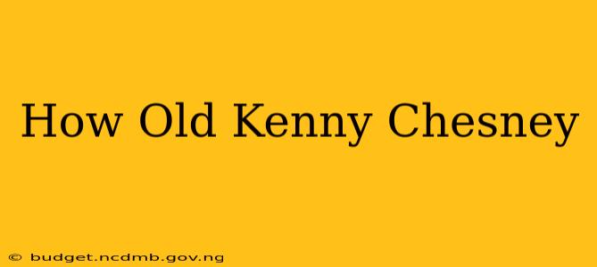 How Old Kenny Chesney