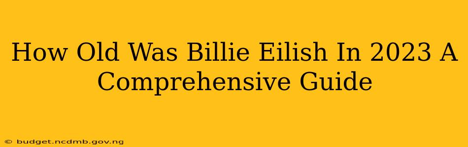 How Old Was Billie Eilish In 2023 A Comprehensive Guide
