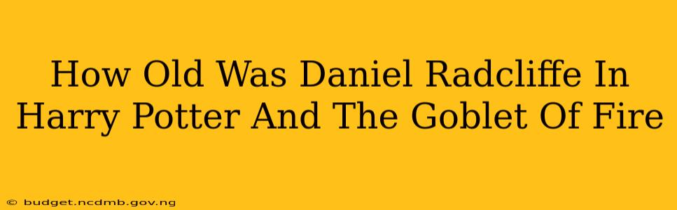 How Old Was Daniel Radcliffe In Harry Potter And The Goblet Of Fire