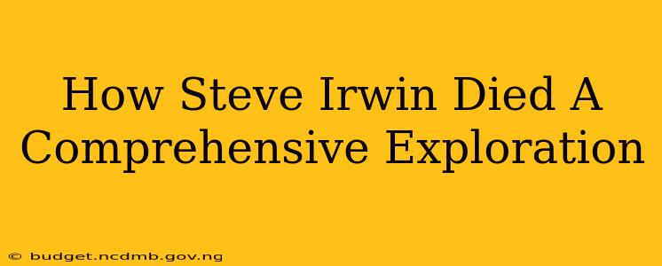 How Steve Irwin Died A Comprehensive Exploration