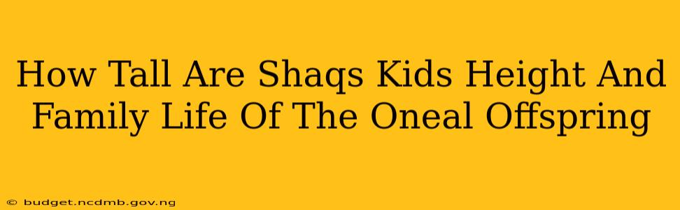 How Tall Are Shaqs Kids Height And Family Life Of The Oneal Offspring