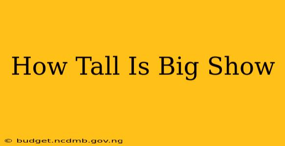 How Tall Is Big Show