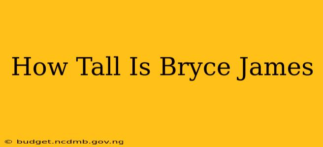 How Tall Is Bryce James