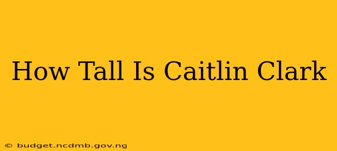 How Tall Is Caitlin Clark