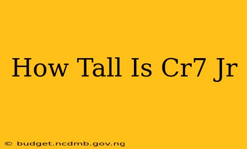 How Tall Is Cr7 Jr