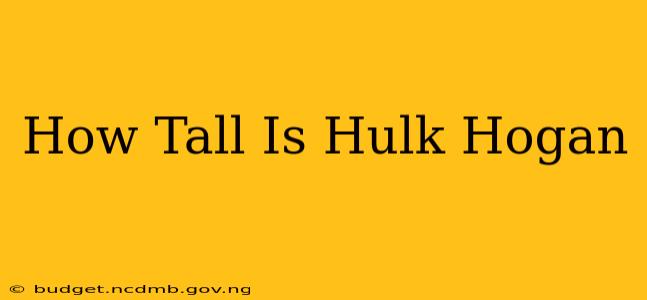 How Tall Is Hulk Hogan
