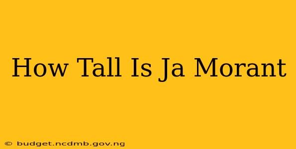How Tall Is Ja Morant