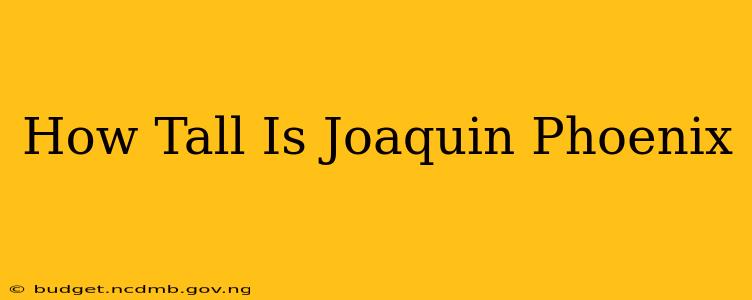 How Tall Is Joaquin Phoenix