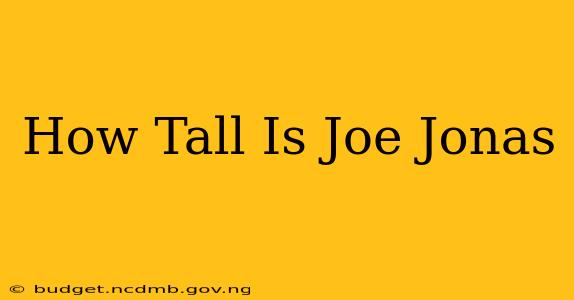 How Tall Is Joe Jonas