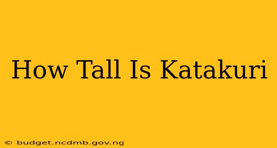 How Tall Is Katakuri