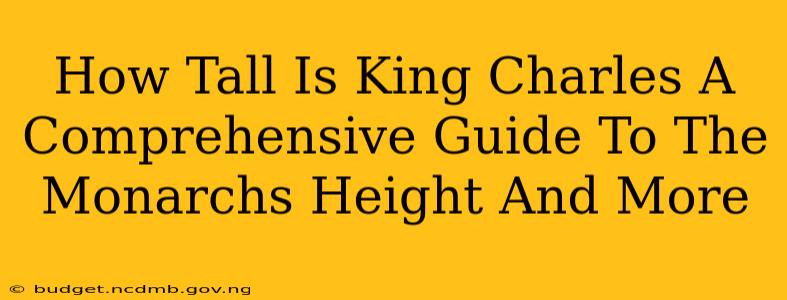 How Tall Is King Charles A Comprehensive Guide To The Monarchs Height And More