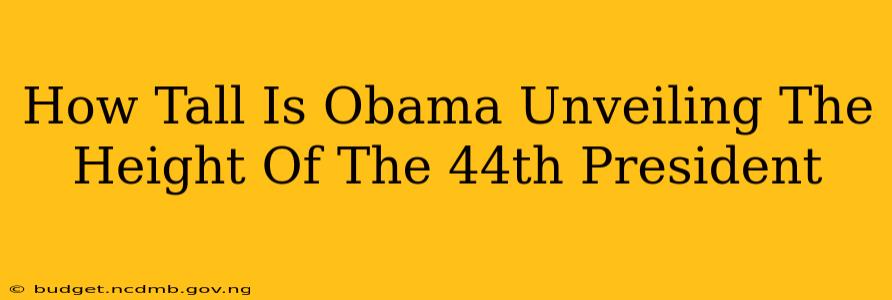 How Tall Is Obama Unveiling The Height Of The 44th President