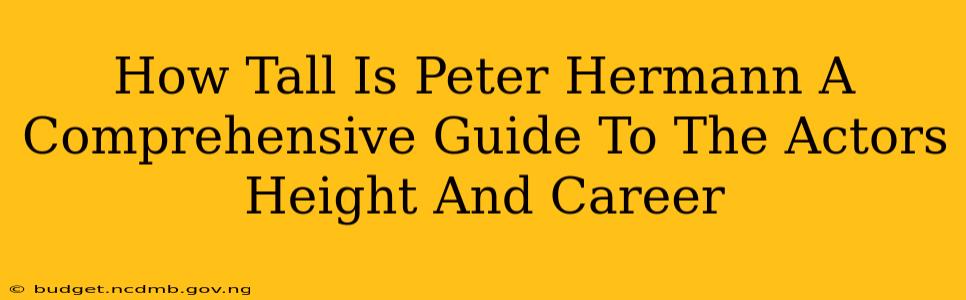 How Tall Is Peter Hermann A Comprehensive Guide To The Actors Height And Career