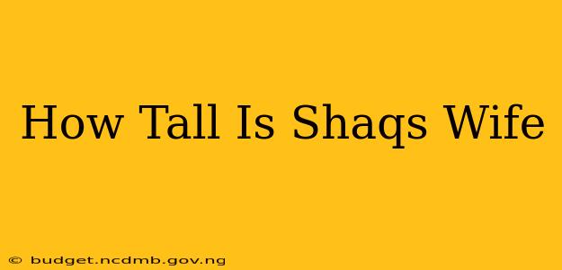 How Tall Is Shaqs Wife