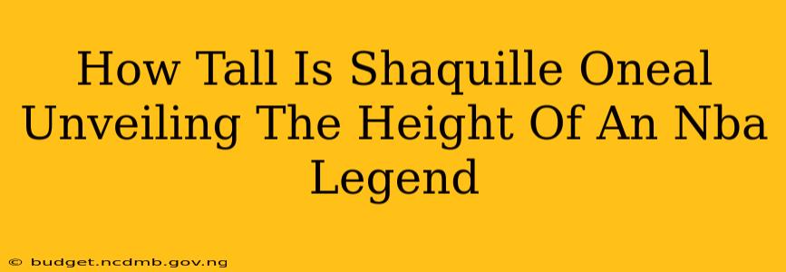 How Tall Is Shaquille Oneal Unveiling The Height Of An Nba Legend