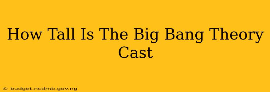 How Tall Is The Big Bang Theory Cast