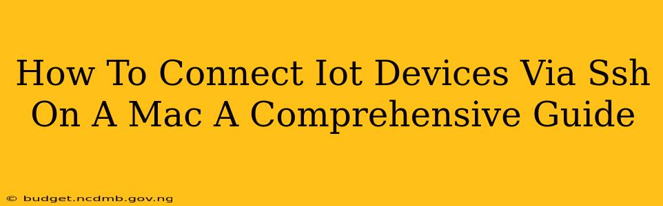 How To Connect Iot Devices Via Ssh On A Mac A Comprehensive Guide