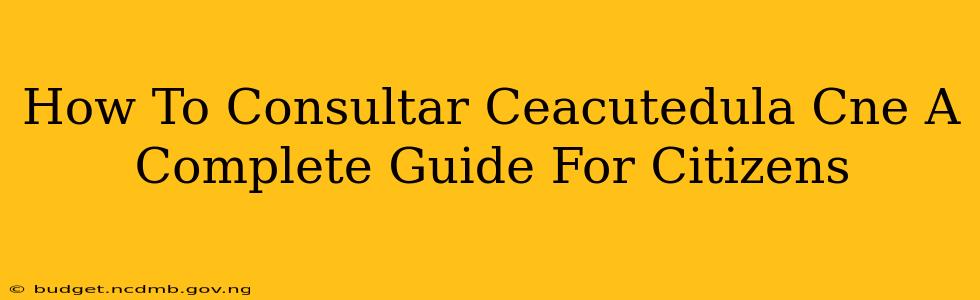 How To Consultar Ceacutedula Cne A Complete Guide For Citizens
