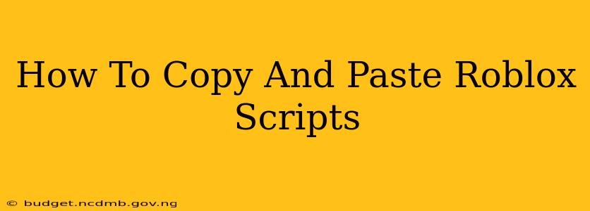 How To Copy And Paste Roblox Scripts
