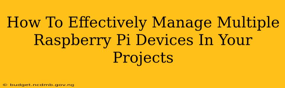 How To Effectively Manage Multiple Raspberry Pi Devices In Your Projects